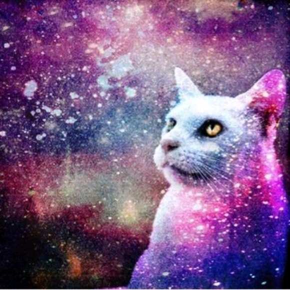 Meet your Posher, Mari - Picture 1 of 1